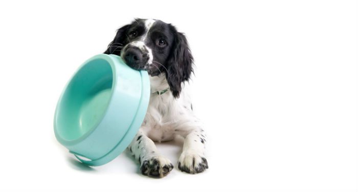 Frozen Dog Food