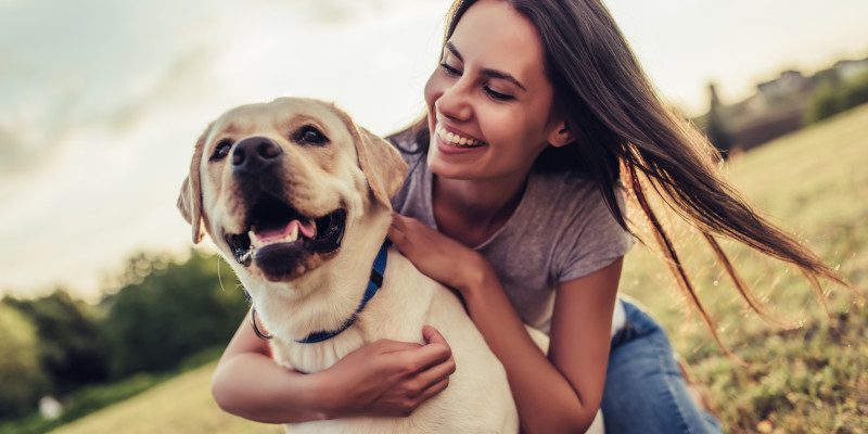 Reasons to Switch to Natural Dog Food