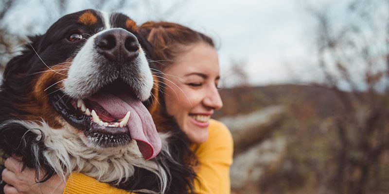 3 Reasons to Choose Natural Dog Food